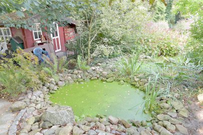 5000 Quadratmeter großes Gartenreich - Bild 2