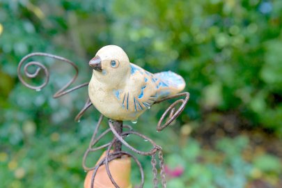 Garten von Christa Welling - Bild 4