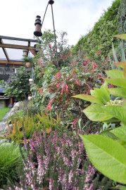 Garten mit reicher Ernte - Bild 3
