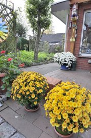 Garten mit reicher Ernte - Bild 4