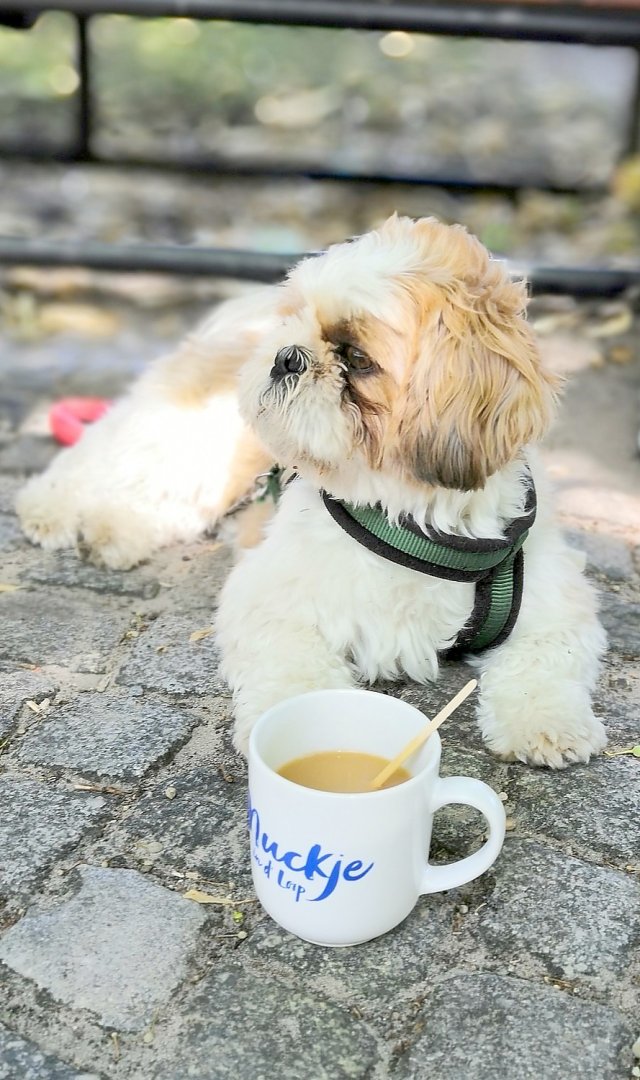 Teetied für Leeraner Hospizarbeit - Bild 11