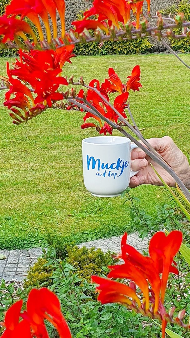 Teetied für Leeraner Hospizarbeit - Bild 18