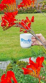 Teetied für Leeraner Hospizarbeit - Bild 18