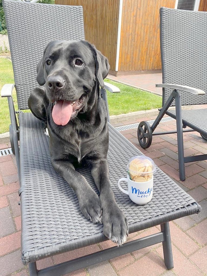 Teetied für Leeraner Hospizarbeit - Bild 23