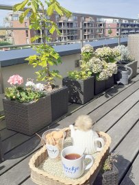 Teetied für Leeraner Hospizarbeit - Bild 27