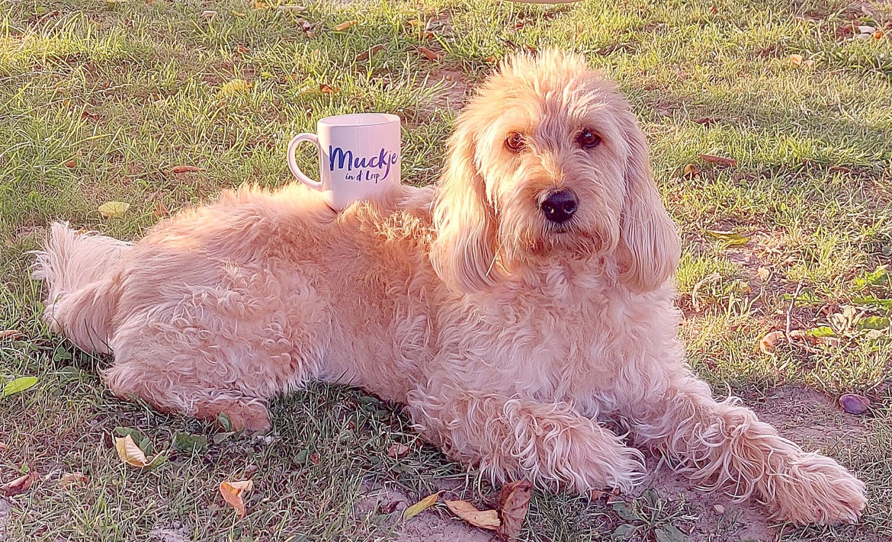 Teetied für Leeraner Hospizarbeit - Bild 39