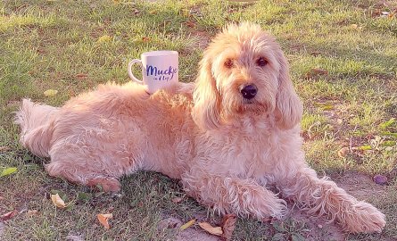 Teetied für Leeraner Hospizarbeit - Bild 39