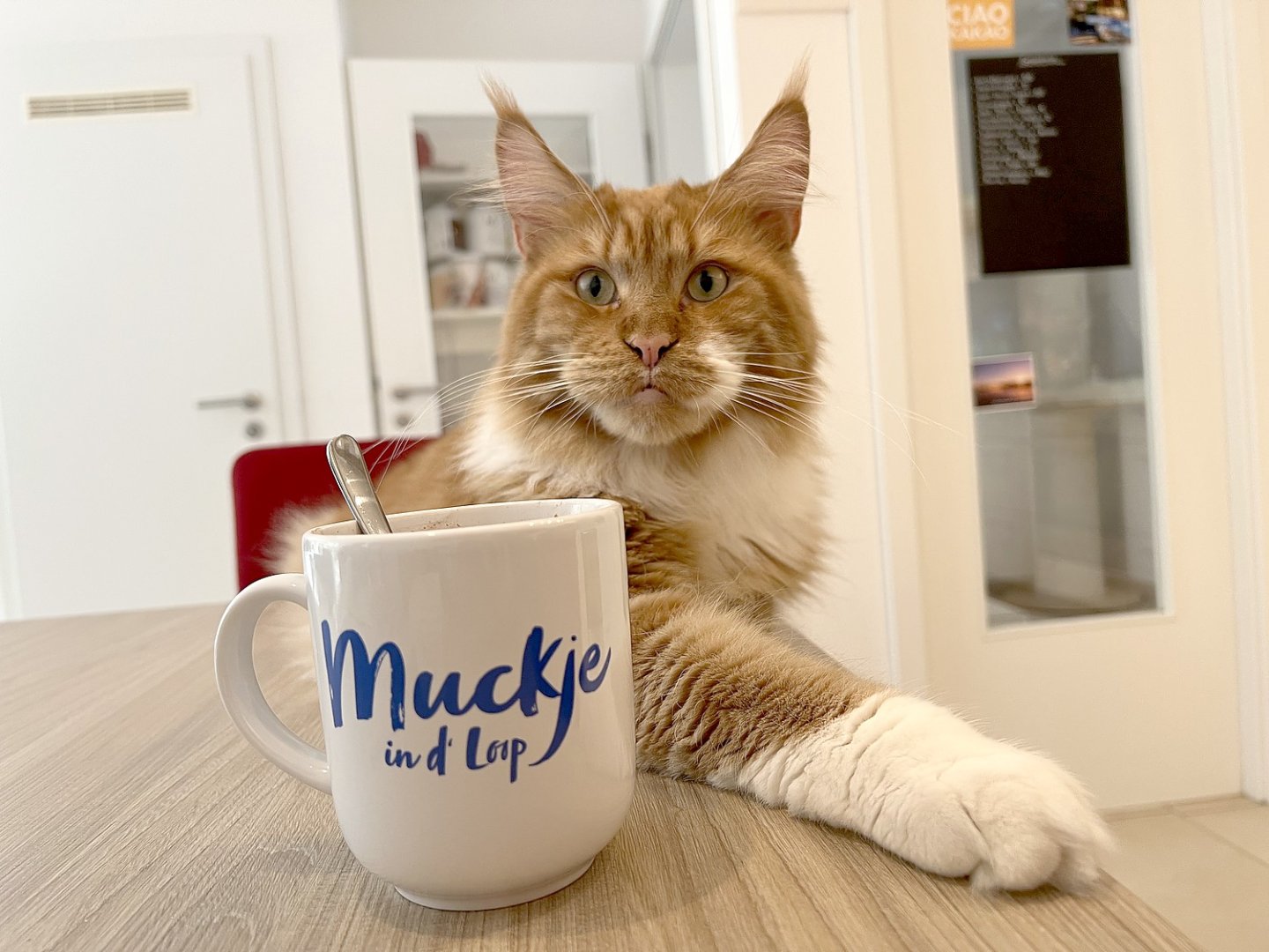 Teetied für Leeraner Hospizarbeit - Bild 45