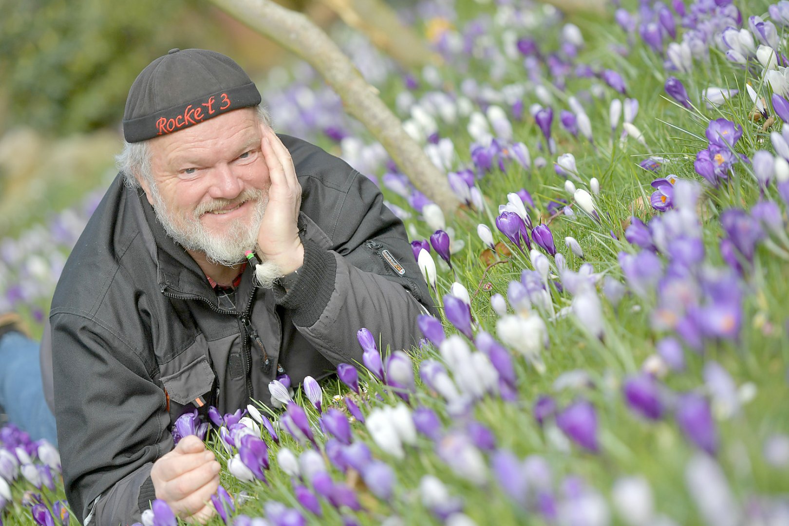 50 Shades of Krokus - Bild 1