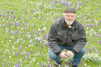 50 Shades of Krokus - Bild 4