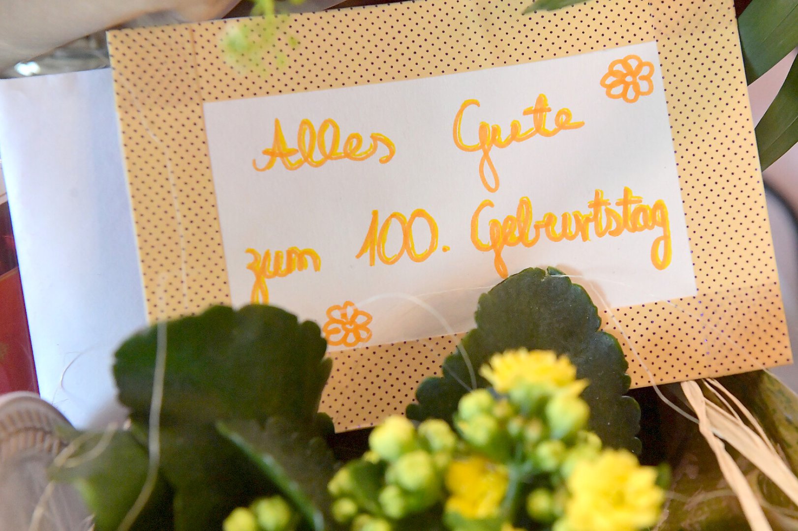 Geburtstagsfeier von Albrecht Weinberg - Bild 13