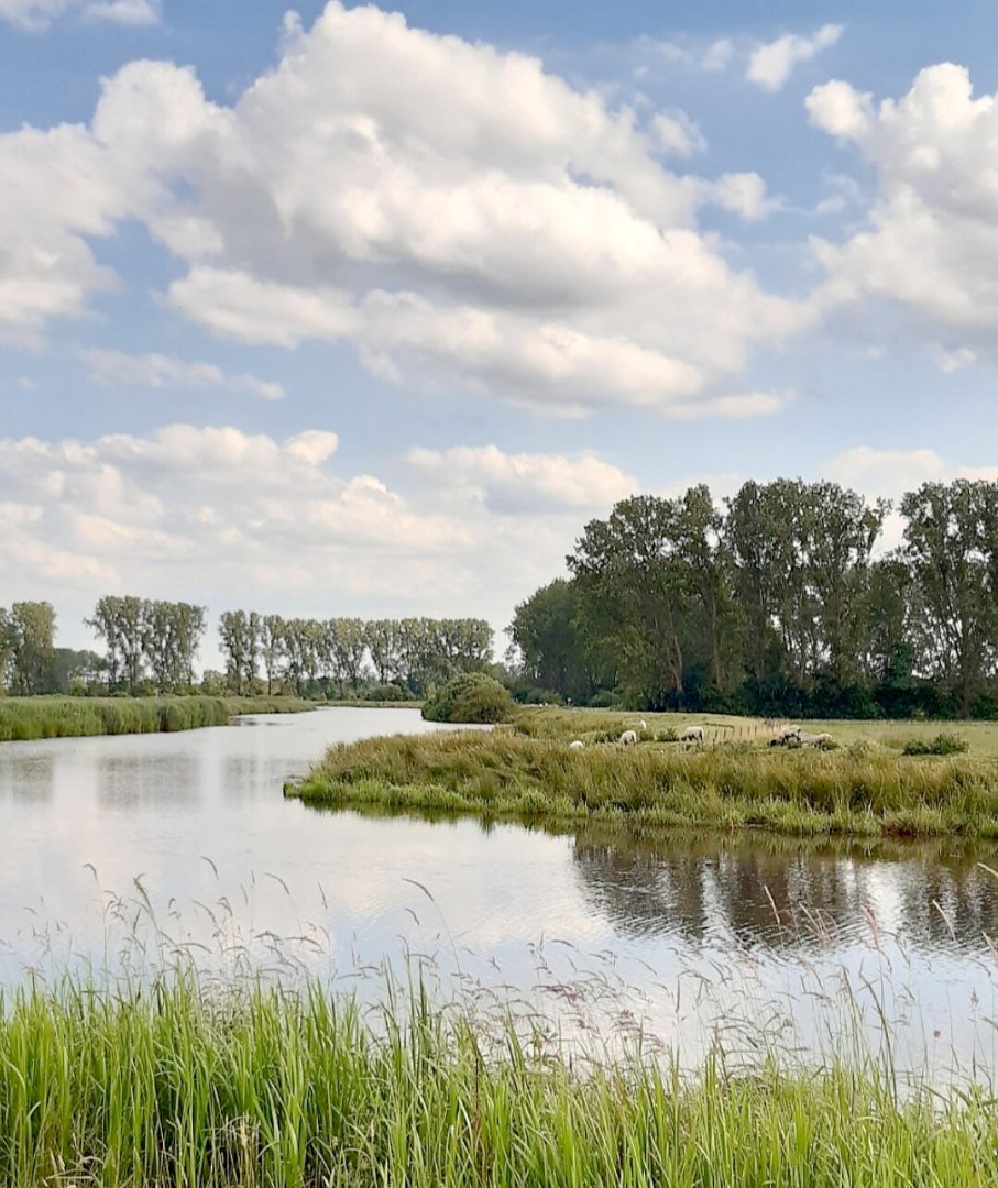 Leserfotos: Wolken in Ostfriesland - Teil 2 - Bild 6