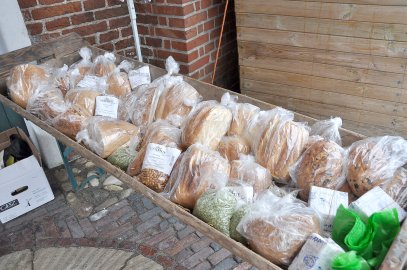 Erntedank in Jemgum - Bild 3