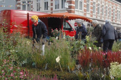 Auricher Heidemarkt in den Regenpausen gut besucht - Bild 3