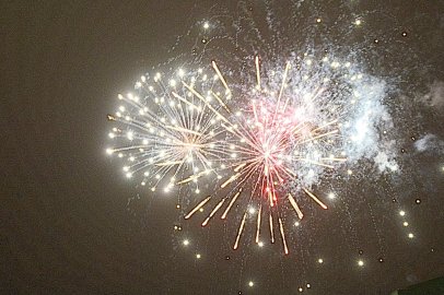 Feuerwerk über dem Gallimarkt - Bild 4