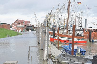 Bilder vom Hochwasser in Ditzum und Jemgum - Bild 3