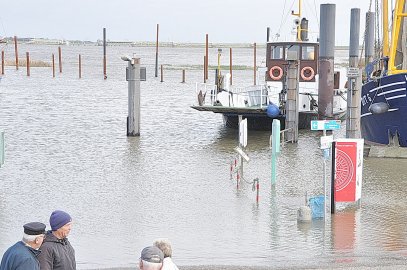 Bilder vom Hochwasser in Ditzum und Jemgum - Bild 4