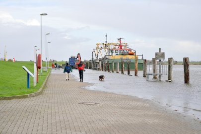 So steht das Hochwasser im Greetsieler Hafen - Bild 3