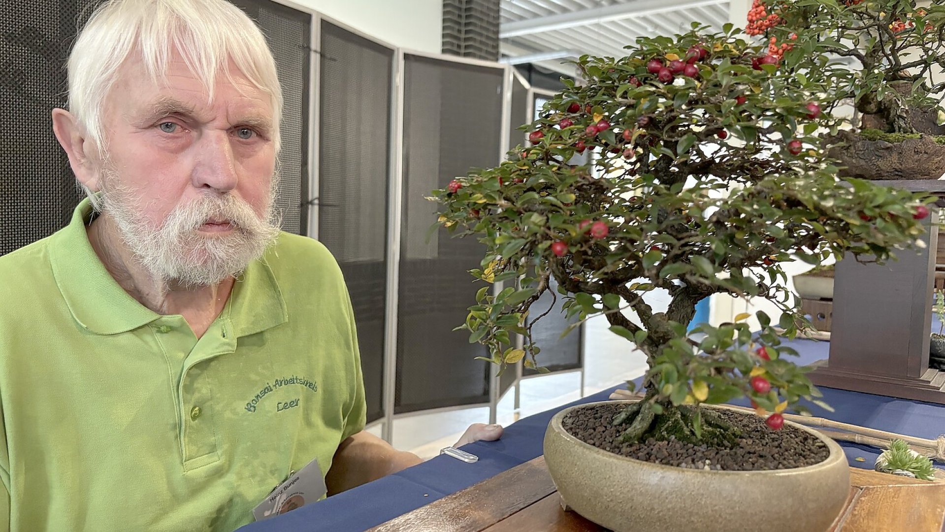 Bonsai-Ausstellung in Leer - Bild 1