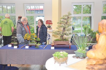 Bonsai-Ausstellung in Leer - Bild 3