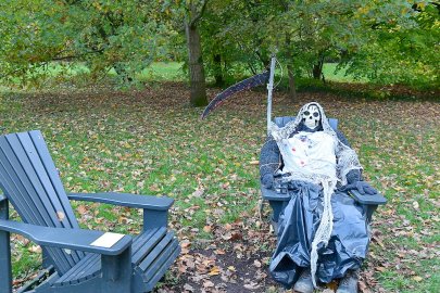 Gruselwald in Westerhusen - Bild 3