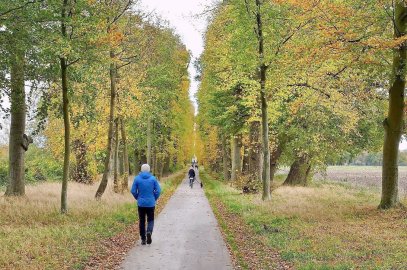 Die schönsten Alleen in Ostfriesland - Bild 8