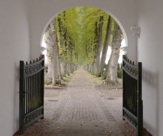Die schönsten Alleen in Ostfriesland - Bild 10