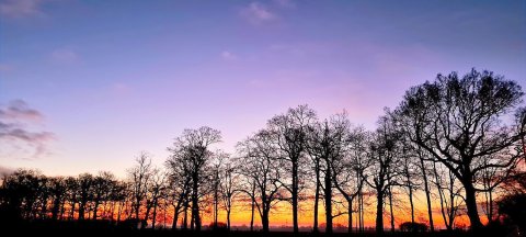 Die schönsten Alleen in Ostfriesland - Bild 14