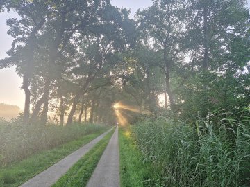 Die schönsten Alleen in Ostfriesland - Bild 22