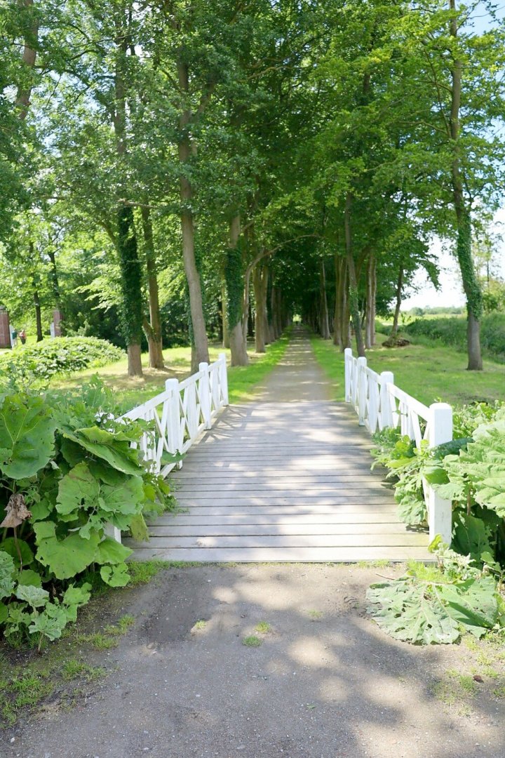 Die schönsten Alleen in Ostfriesland - Bild 35