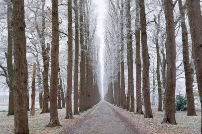 Die schönsten Alleen in Ostfriesland - Bild 40