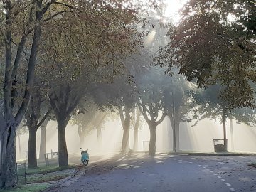 Die schönsten Alleen in Ostfriesland - Bild 46