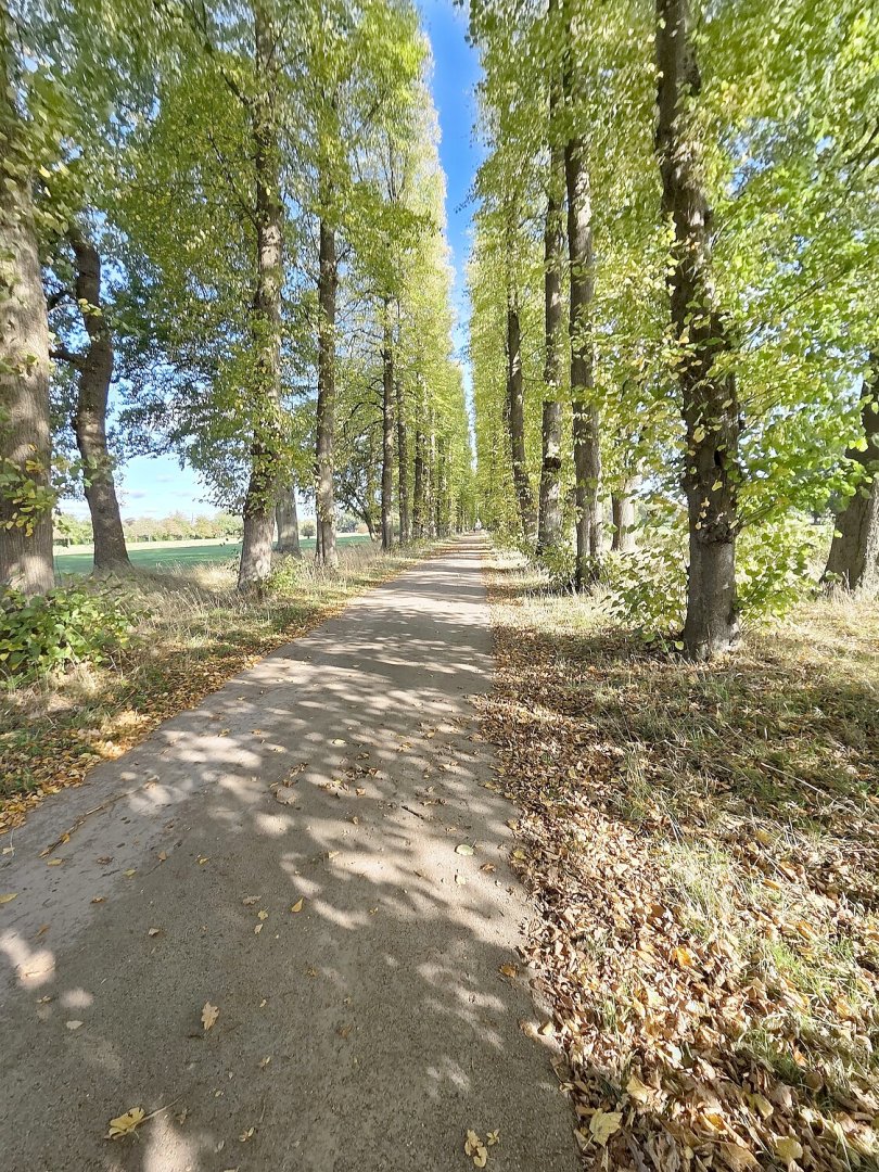 Die schönsten Alleen in Ostfriesland - Bild 47