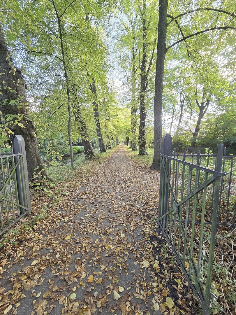 Die schönsten Alleen in Ostfriesland - Bild 48