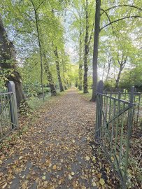 Die schönsten Alleen in Ostfriesland - Bild 48