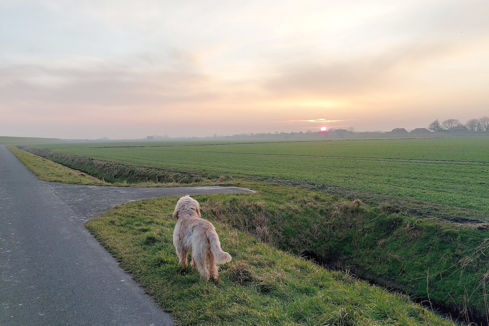 So schön ist unser Ostfriesland, Teil 4 - Bild 1