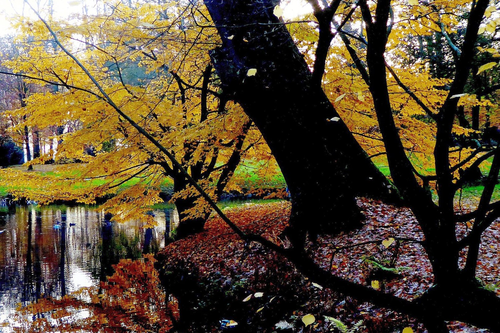 So schön ist unser Ostfriesland, Teil 4 - Bild 4