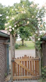 So schön ist unser Ostfriesland, Teil 4 - Bild 8