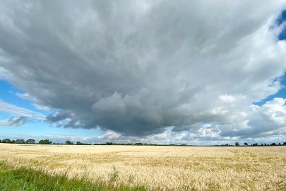 So schön ist unser Ostfriesland, Teil 3 - Bild 10