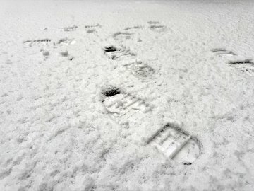 Schnee in Ostfriesland - Bild 7