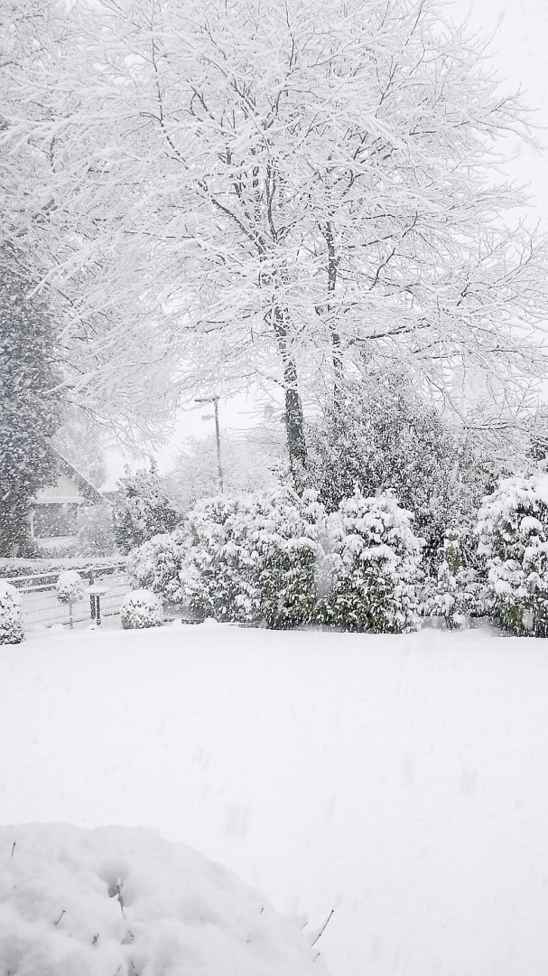 Schnee in Ostfriesland - Bild 19