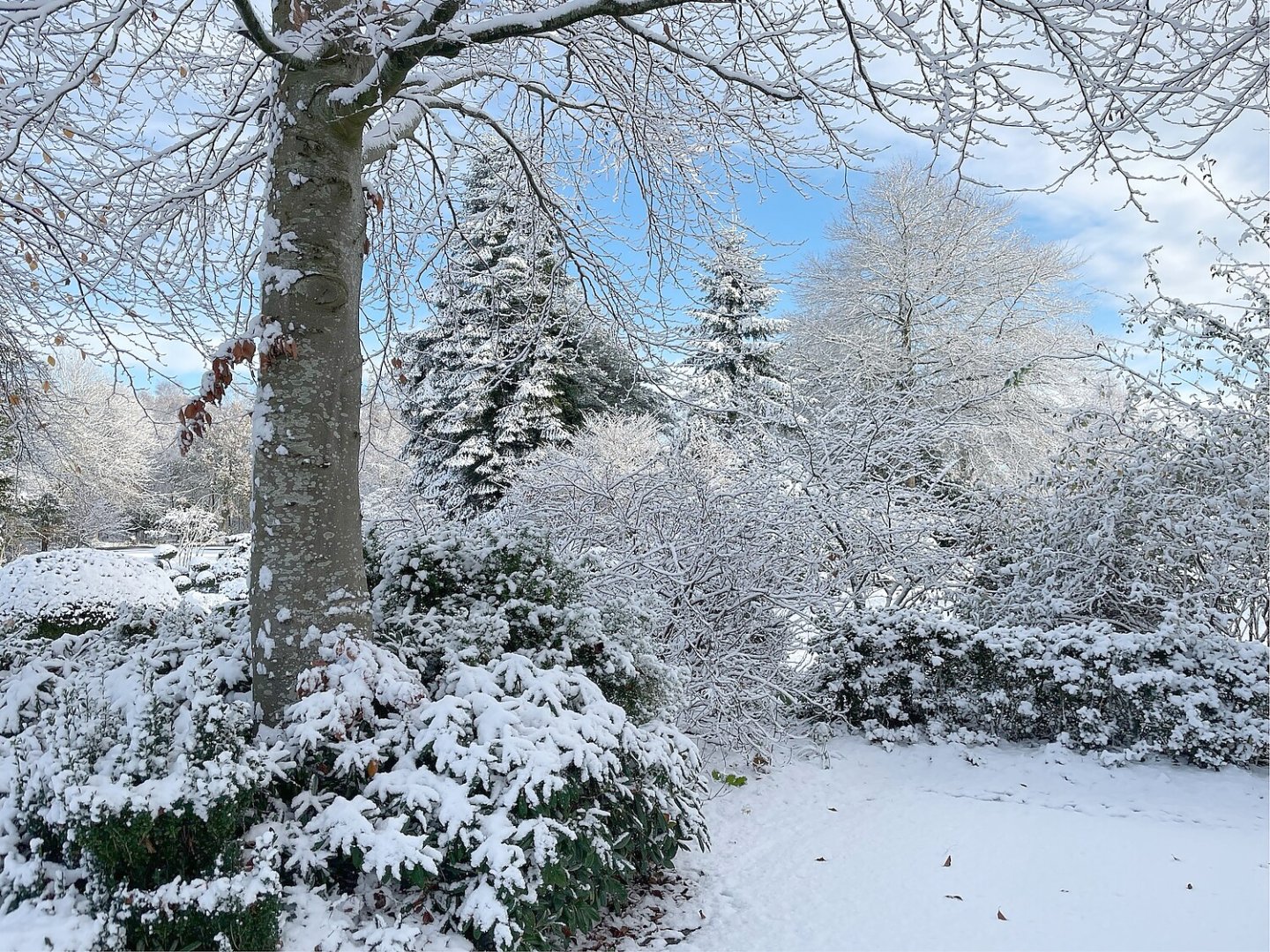 Schnee in Ostfriesland - Bild 25