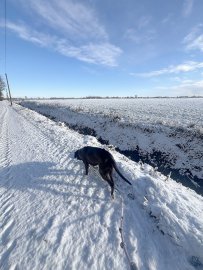 Schnee in Ostfriesland - Bild 50