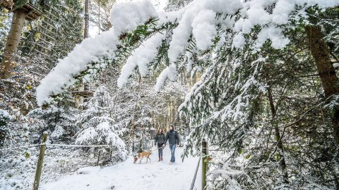 Schnee in Ostfriesland - Bild 68