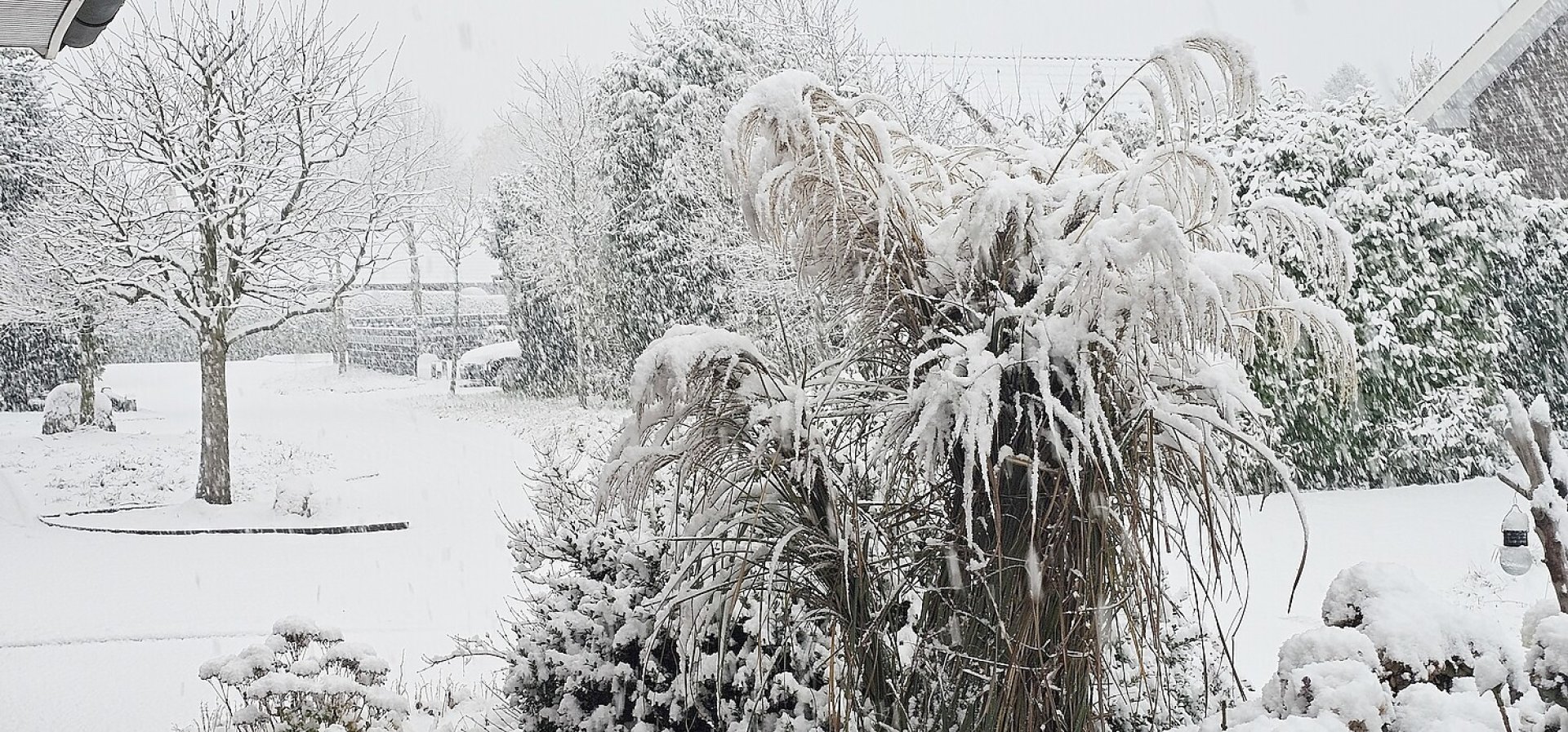Schnee in Ostfriesland - Bild 73