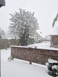 Schnee in Ostfriesland - Bild 76