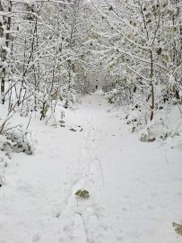 Schnee in Ostfriesland - Bild 77
