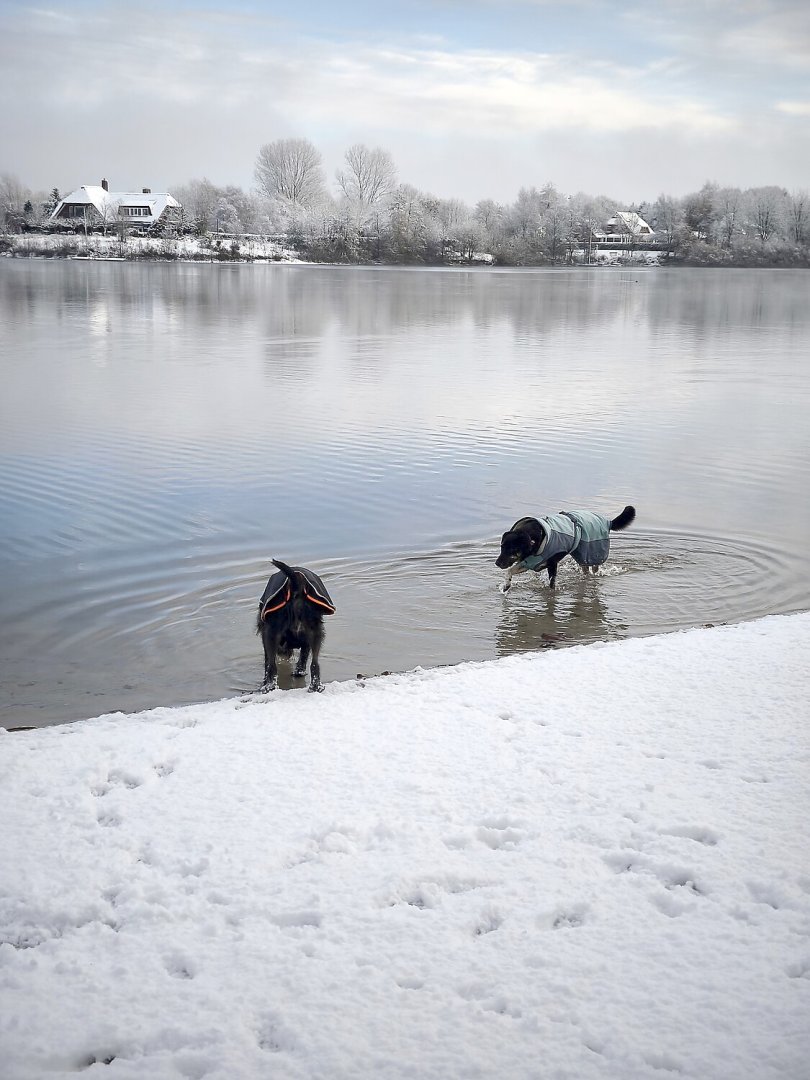 Schnee in Ostfriesland - Bild 30