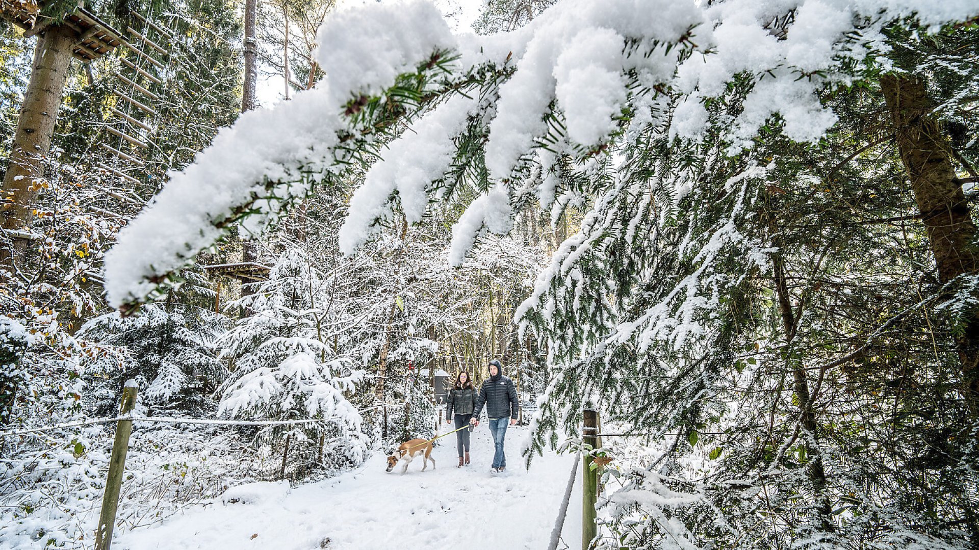 Schnee in Ostfriesland - Bild 68