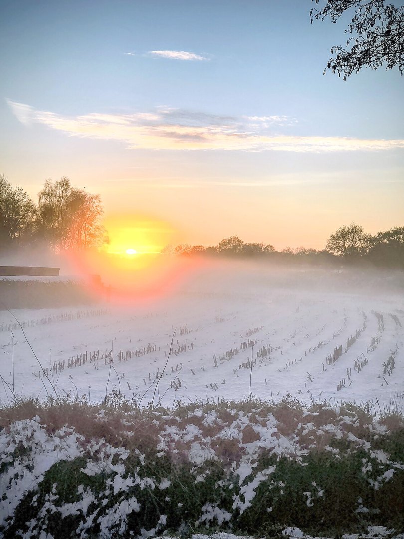 Schnee in Ostfriesland - Bild 71